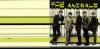 The Animals - The Most Of a